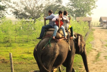 Kathmandu Bardia Tour